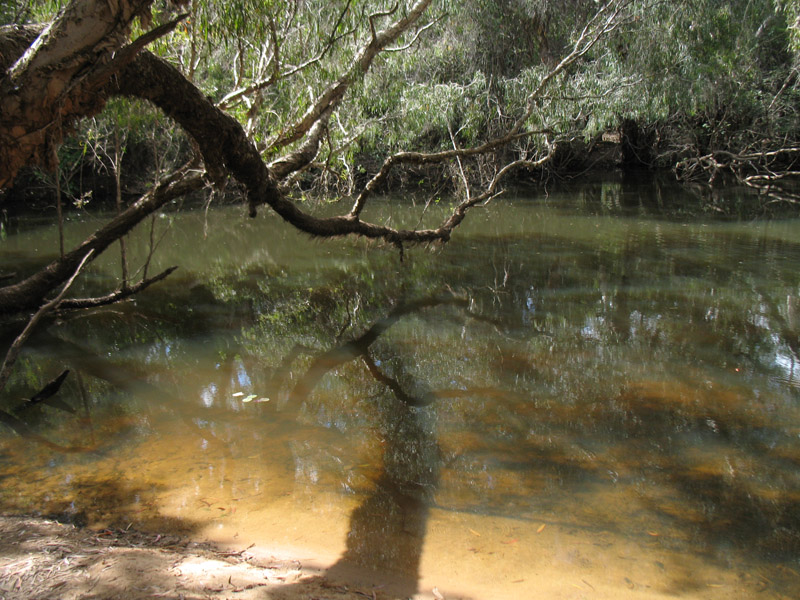 Lakefield National Park - Walkabout